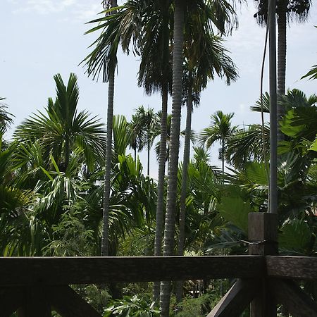 Lila Homestay Hoi An Exterior photo